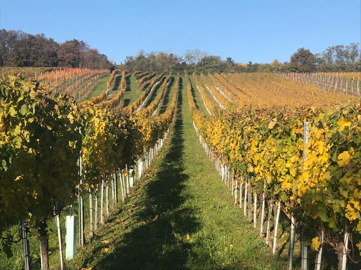 Weingut & Gastezimmer Edelmann Göttlesbrunn Eksteriør billede