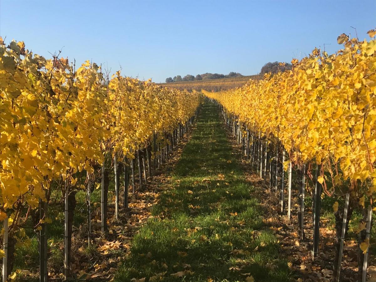 Weingut & Gastezimmer Edelmann Göttlesbrunn Eksteriør billede
