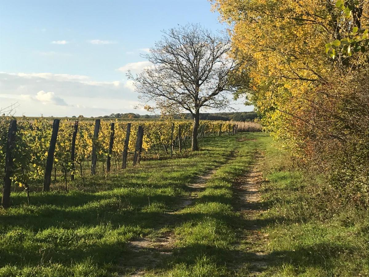 Weingut & Gastezimmer Edelmann Göttlesbrunn Eksteriør billede